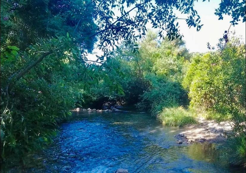 אל בוסקה La Buhardilla De Torrecillas מראה חיצוני תמונה