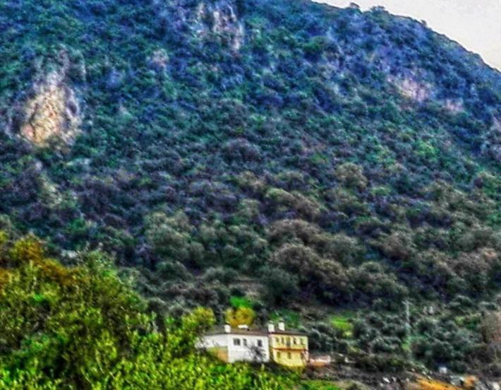 אל בוסקה La Buhardilla De Torrecillas מראה חיצוני תמונה